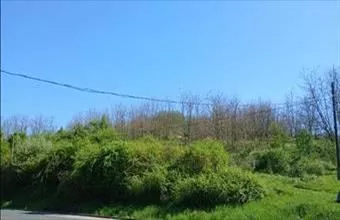 Eladó Salgótarjáni lakóövezeti telek hirdetés (73713834) Eladó Salgótarjáni lakóövezeti telek hirdetés (73713834)