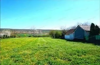 Eladó Tényői lakóövezeti telek hirdetés (49597236) Eladó Tényői lakóövezeti telek hirdetés (49597236)