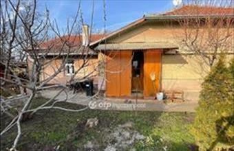 Eladó Csanyteleki családi ház hirdetés (78935894)