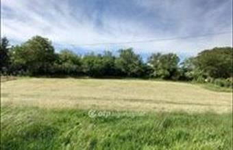 Eladó Szekszárdi egyéb mezőgazdasági ingatlan hirdetés (82769534)