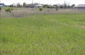 Eladó Dabasi egyéb telek hirdetés (71429944)