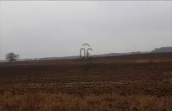 Eladó Üllői termőföld, szántó hirdetés (78954345)