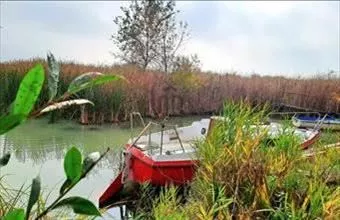 Eladó Balatongyöröki egyéb üzlethelyiség hirdetés (88418737) Eladó Balatongyöröki egyéb üzlethelyiség hirdetés (88418737)