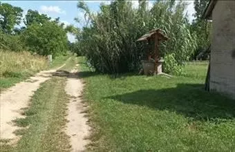 Eladó Vanyolai termőföld, szántó hirdetés (22849383) Eladó Vanyolai termőföld, szántó hirdetés (22849383)
