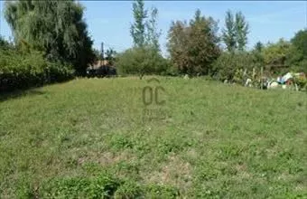 Eladó Tiszacsegei egyéb telek hirdetés (79742444) Eladó Tiszacsegei egyéb telek hirdetés (79742444)