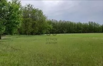 Eladó Nagykőrösi termőföld, szántó hirdetés (89694289) Eladó Nagykőrösi termőföld, szántó hirdetés (89694289)
