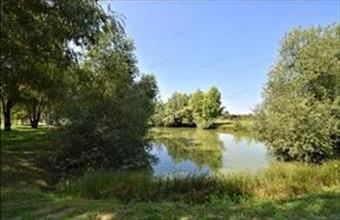 Eladó Győri egyéb mezőgazdasági ingatlan hirdetés (28556993)