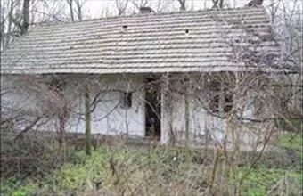 Eladó Ráckevei termőföld, szántó hirdetés (48974579) Eladó Ráckevei termőföld, szántó hirdetés (48974579)