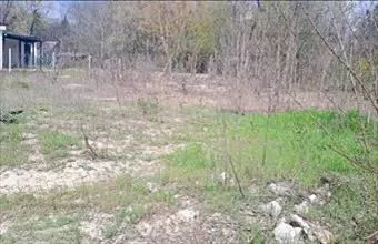 Eladó Pócsmegyeri lakóövezeti telek hirdetés (69338425) Eladó Pócsmegyeri lakóövezeti telek hirdetés (69338425)