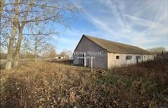 Eladó Kiskunmajsai egyéb mezőgazdasági ingatlan hirdetés (48589725)