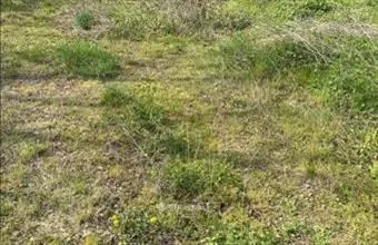 Eladó Zalabéri lakóövezeti telek hirdetés (94494332) Eladó Zalabéri lakóövezeti telek hirdetés (94494332)