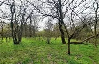 Eladó Csévharaszti külterületi telek hirdetés (38545844)