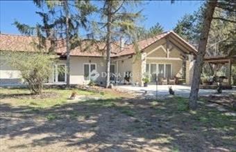 Eladó Kecskeméti családi ház hirdetés (43243233)