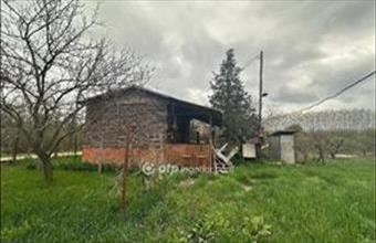 Eladó Szentesi hétvégi ház hirdetés (37963957)