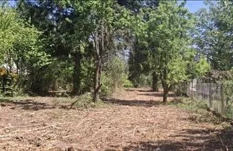 Eladó Miskolci egyéb mezőgazdasági ingatlan hirdetés (48473573) Eladó Miskolci egyéb mezőgazdasági ingatlan hirdetés (48473573)