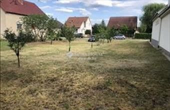 Eladó Tiszaalpári lakóövezeti telek hirdetés (28728143)