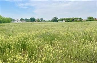 Eladó Dabasi egyéb telek hirdetés (42696488)