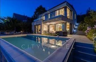 Eladó Szentendrei családi ház hirdetés (96558655)