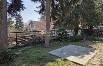 Eladó Leányfalui családi ház hirdetés (46916134)