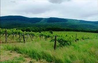 Eladó Szendehelyi egyéb mezőgazdasági ingatlan hirdetés (64793584)