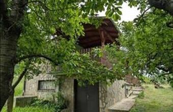 Eladó Csapi hétvégi ház hirdetés (29234731)