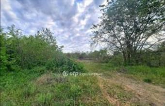 Eladó Szentmártonkátai külterületi telek hirdetés (75722958)