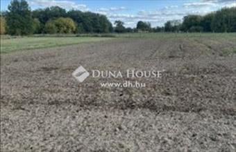 Eladó Balástyai lakóövezeti telek hirdetés (35443225)