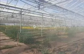 Eladó Balástyai egyéb mezőgazdasági ingatlan hirdetés (21379397) Eladó Balástyai egyéb mezőgazdasági ingatlan hirdetés (21379397)