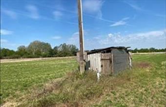 Eladó Szatymazi egyéb telek hirdetés (42535432)