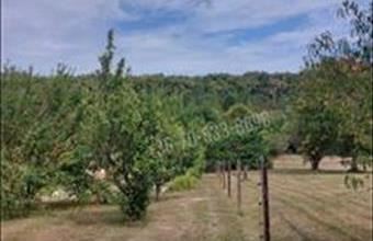 Eladó Balatongyöröki egyéb telek hirdetés (73249442)