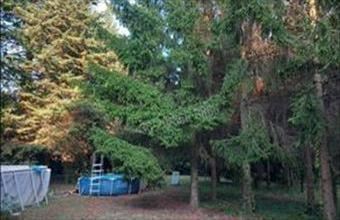 Eladó Budakeszi egyéb telek hirdetés (49337535)