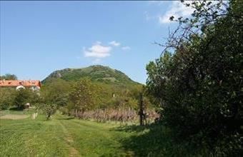 Eladó Gyulakeszi egyéb telek hirdetés (97226691)