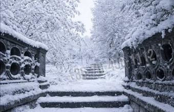 Eladó Törökbálinti családi ház hirdetés (69551254)