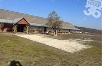 Eladó Kecskeméti tanya hirdetés (74932674)