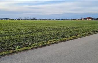 Eladó Kulcsi egyéb telek hirdetés (49454873)