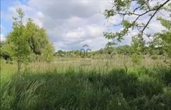 Eladó Gödi termőföld, szántó hirdetés (48746735) Eladó Gödi termőföld, szántó hirdetés (48746735)