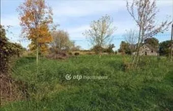 Eladó Tiszaföldvári lakóövezeti telek hirdetés (34343733) Eladó Tiszaföldvári lakóövezeti telek hirdetés (34343733)