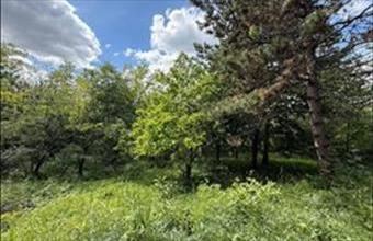 Eladó Biatorbágyi zártkert hirdetés (95433542)