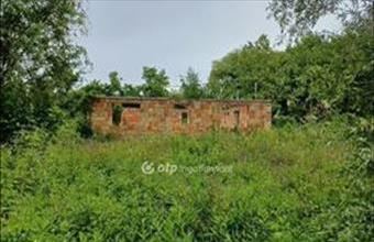 Eladó Dömsödi üdülőövezeti telek hirdetés (54299859)