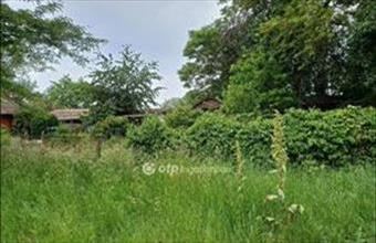 Eladó Dömsödi egyéb telek hirdetés (39913937)