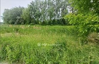 Eladó Dömsödi egyéb telek hirdetés (59339449)