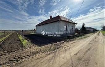 Eladó Tiszaugi tanya hirdetés (73617569)