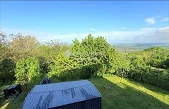 Eladó Szentendrei családi ház hirdetés (22499787)