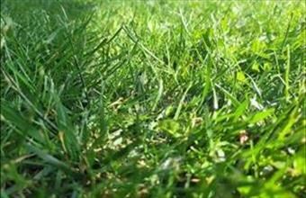 Eladó Váci egyéb telek hirdetés (69434462)