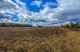 Eladó Örkényi egyéb telek hirdetés (99443134)