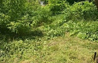 Eladó Dunaharaszti egyéb telek hirdetés (45738392)