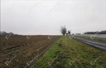 Eladó Sármelléki termőföld, szántó hirdetés (74792237)