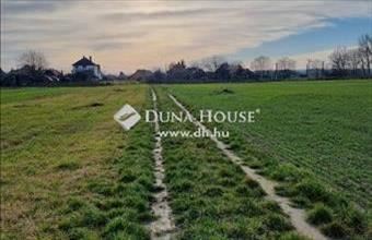 Eladó Ráckevei lakóövezeti telek hirdetés (23244774)