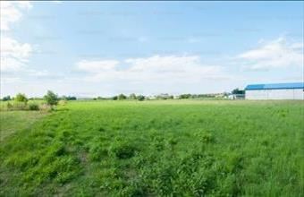 Eladó Szigetszentmiklósi egyéb telek hirdetés (13549324)