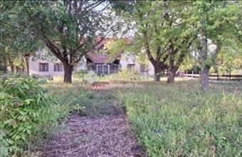 Eladó Kecskeméti külterületi telek hirdetés (39373367)